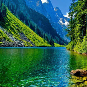 Meet your Posher, Indio